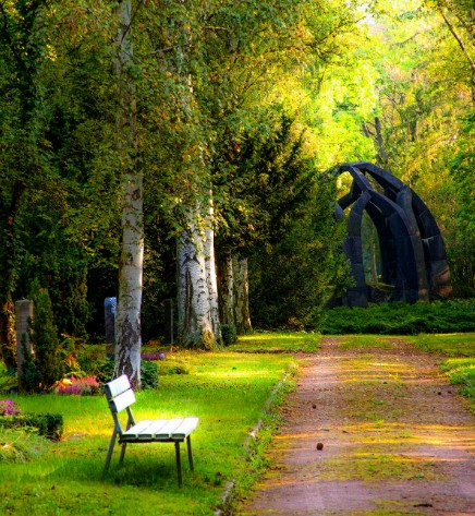 About Image